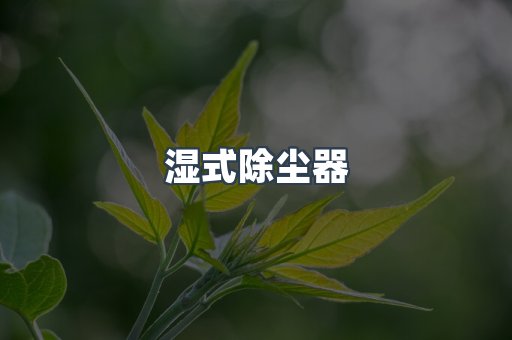 湿式除尘器