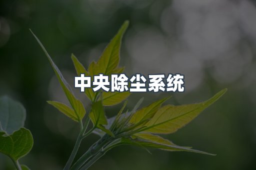 中央除尘系统